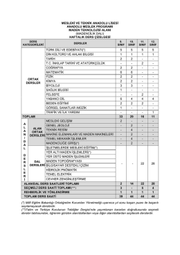 Madencilik Teknolojisi Alanı Haftalık Ders Çizelgesi