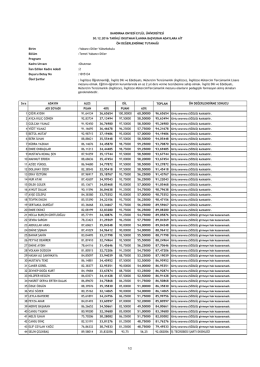 Temel Yabancı Diller Böl. Okt. - Bandırma Onyedi Eylül Üniversitesi