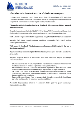 türk lirası cinsinden ödenecek dövizli kamu borçları