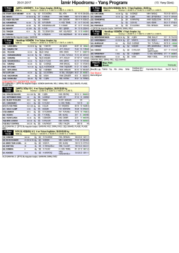 Özet PDF Programı