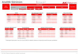 Analitik G&ouml;r&uuml;n&uuml;m