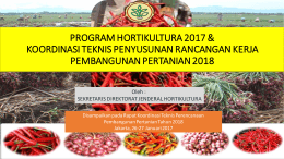 ROADMAP PENGEMBANGAN BAWANG MERAH