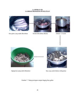 LAMPIRAN III GAMBAR PROSEDUR PENELITIAN Gambar 7