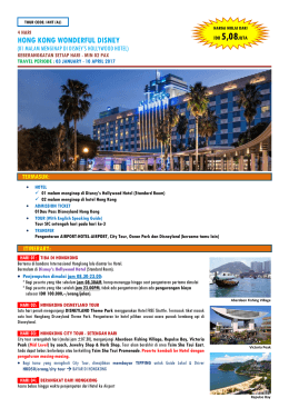 hong kong wonderful disney