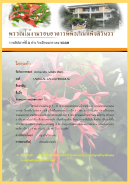 โสกระย้า