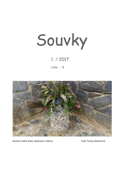 Zpravodaj souvky 01/2017