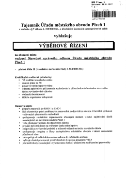 VYBEROVE RIZENI