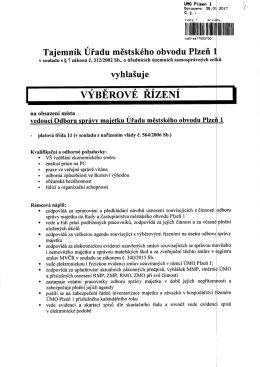 VYBEROVE RIZENI