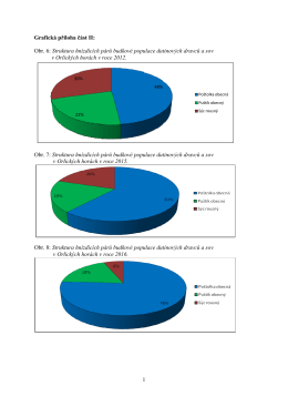 grafick&aacute; př&iacute;loha č&aacute;st II.