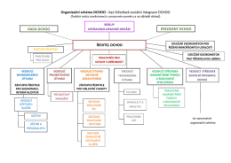 Organizační schéma DCHOO – bez Středisek sociální integrace