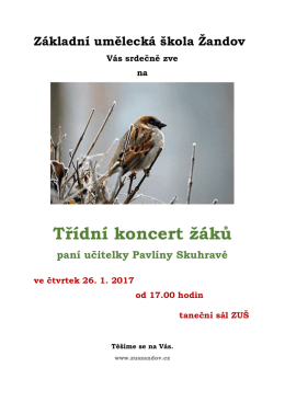 Třídní koncert žáků
