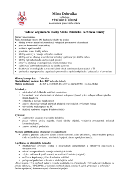 VŘ-vedoucí TS 2017