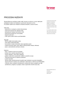 procesni inzenyr