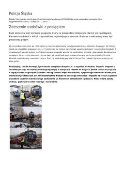 Generuj PDF - Policja Śląska
