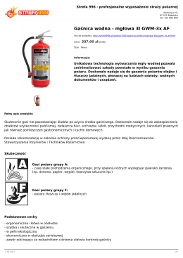 Gaśnica wodna - mgłowa 3l GWM-3x AF