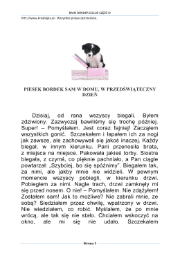 CZ. IV. Bajki Border Collie.