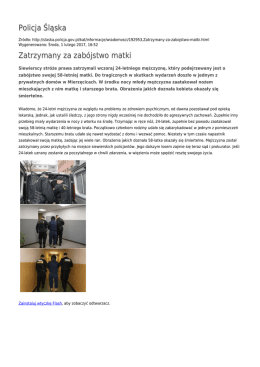 Generuj PDF - Policja Śląska