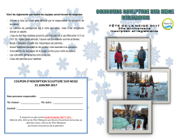 Concours de sculpture sur neige Desjardins