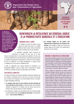 Renforcer la résilience au Sénégal grâce à la productivité