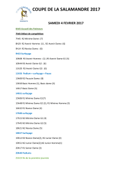 Regroupement categories - Patinage Romorantin HPR