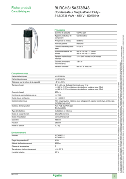 blrch315a378b48 - OPS Schneider Electric