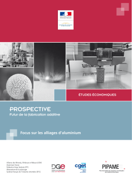 Focus sur l`aluminium - Direction G&eacute;n&eacute;rale des Entreprises