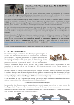 St&eacute;rilisation des chats errants