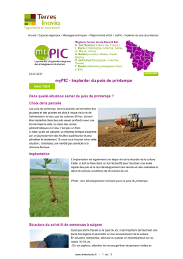 myPIC - Implanter du pois de printemps
