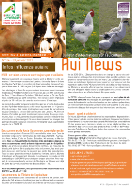 Bulletin AviNews N°24 du 23 janvier 2017