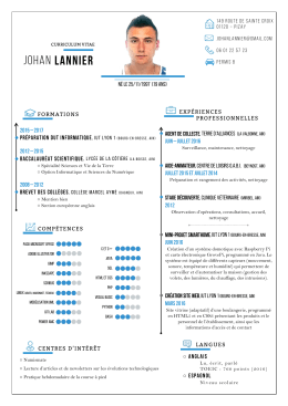 Télécharger/Voir mon CV