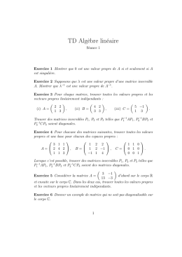 Valeurs propres et vecteurs propres. Diagonalisation.