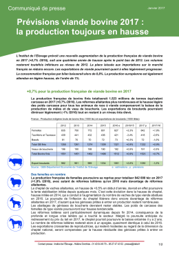 Prévisions viande bovine 2017 : la production