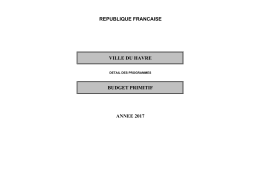 budget principal ville programmes d`investissement par