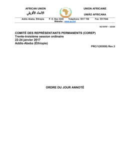 COMIT&Eacute; DES REPR&Eacute;SENTANTS PERMANENTS