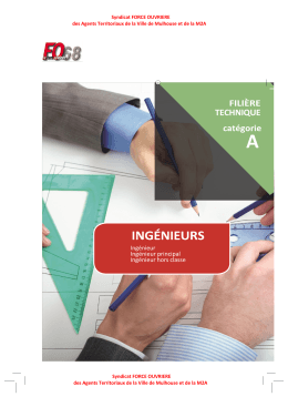 Ingénieurs - FO Territoriaux Mulhouse