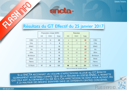 Flash Info — Résultats du GT Effectif du 25 janvier 2017