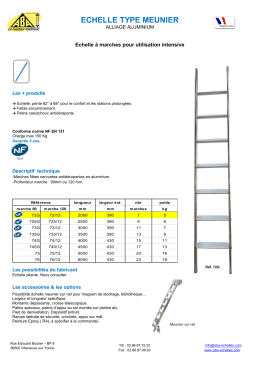 echelle type meunier