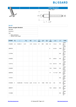 Rivets aveugles Standard - Bossard e-Shop