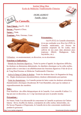 La Cannelle. - Institut Ming Men
