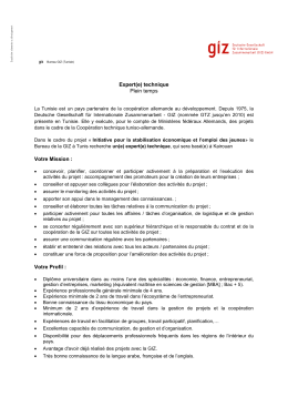 Expert (e) technique ISECO