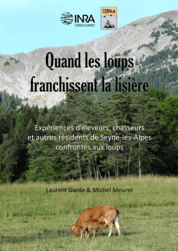 Un &eacute;t&eacute; &agrave; Seyne-les