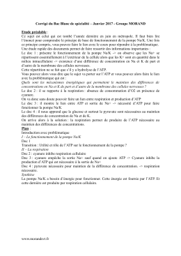 Bac Blanc - morandsvt.fr