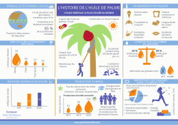 L`HISTOIRE DE L`HUILE DE PALME
