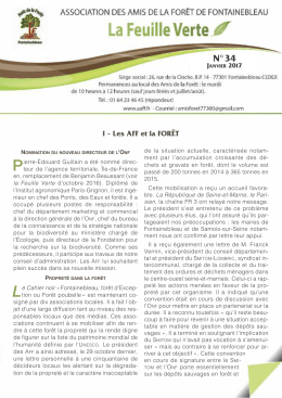dernière Feuille Verte - Amis de la forêt de Fontainebleau
