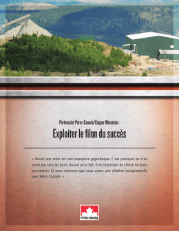 T&eacute;l&eacute;chargerla version PDF - Petro
