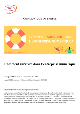 Comment survivre dans l`entreprise numérique - Tarbes