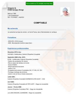 Recrutement CV COMPTABLE - réf: 1701240827, professionnel du