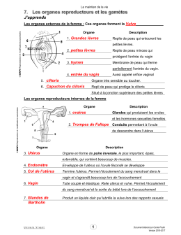 Organes reproducteurs et gamètes