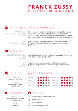 Voir mon CV - Franck Zussy