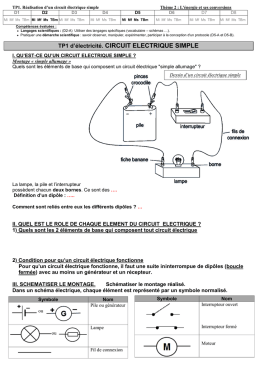 TP1. CIRCUIT ELECTRIQUE SIMPLE. I.Montage